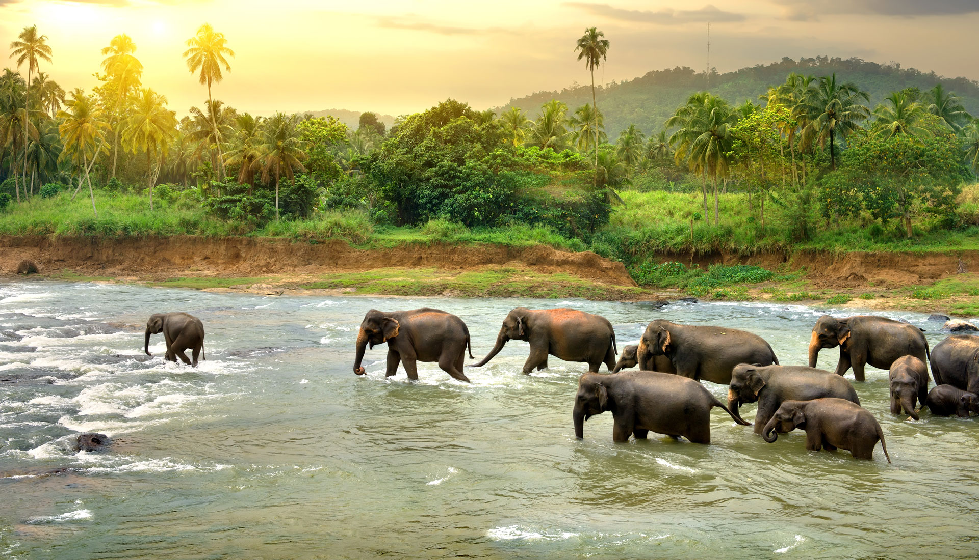 Visit the alluring beauty of God’s own country Kerela